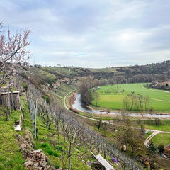 23-03-17 15-15-09 4929